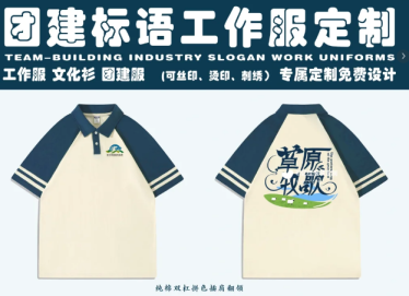 高性价比团建文化衫推荐｜创意标语+纯棉插肩设计